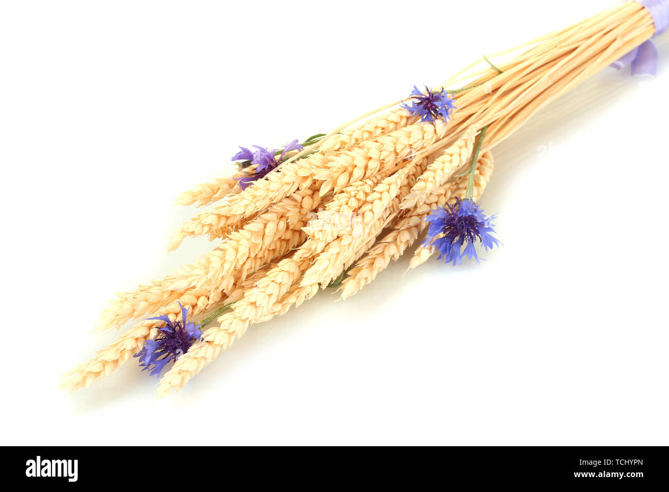 ears of wheat and cornflower isolated on white Stock Photo Alamy