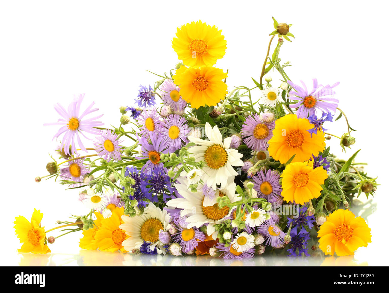 beautiful bouquet of bright wildflowers, isolated on white Stock Photo ...