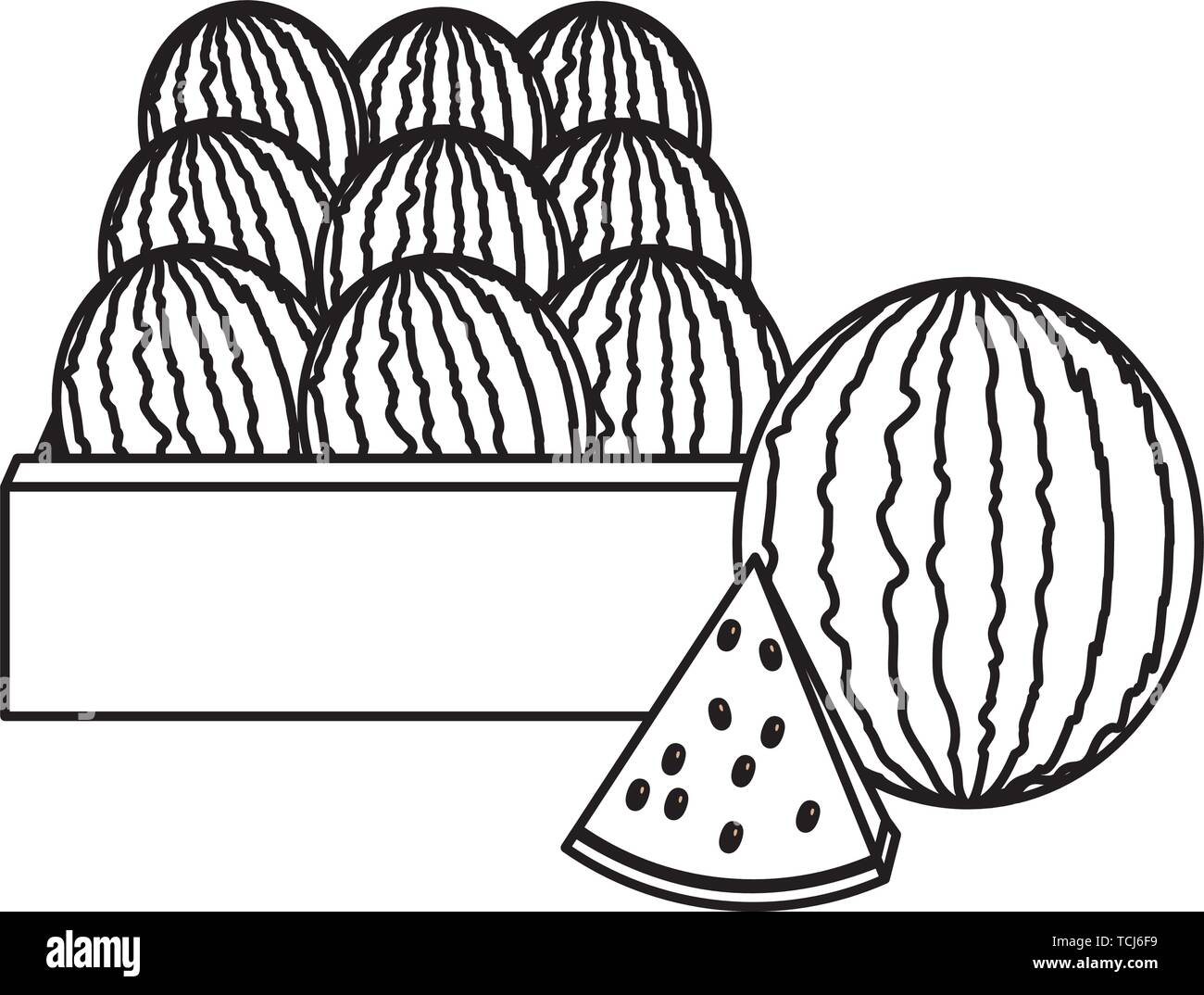 Tropical Fruits Design Stock Vector Image Art Alamy tropical-fruits-design-stock-vector-image-art-alamy