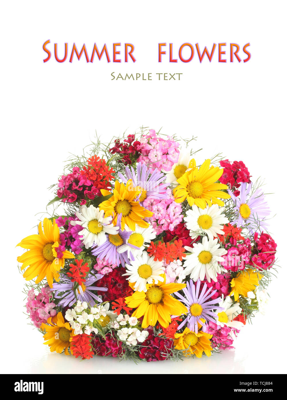 Beautiful bouquet of bright wildflowers isolated on white Stock Photo ...