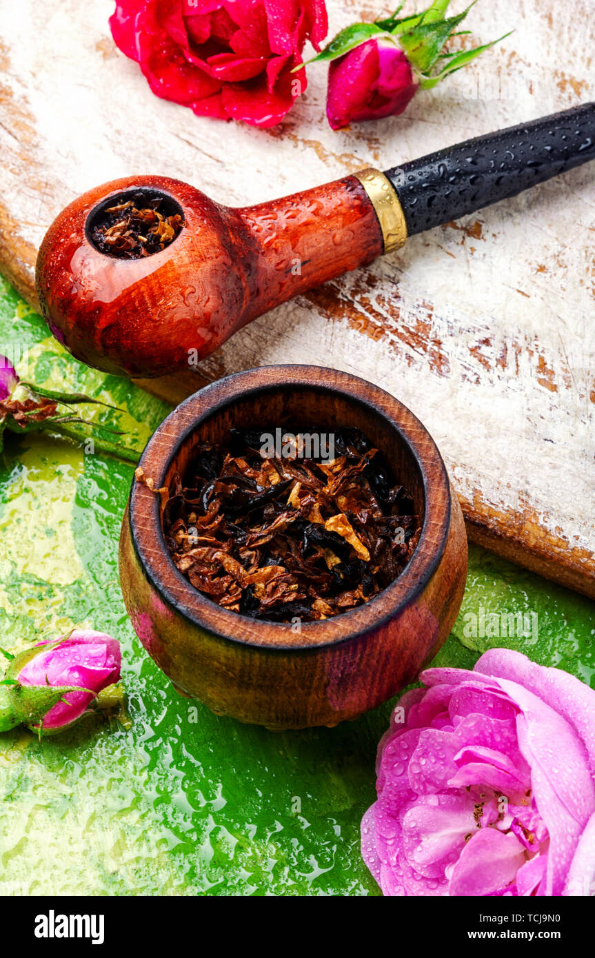 Tobacco pipe and smoking tobacco with rose flavor Stock Photo