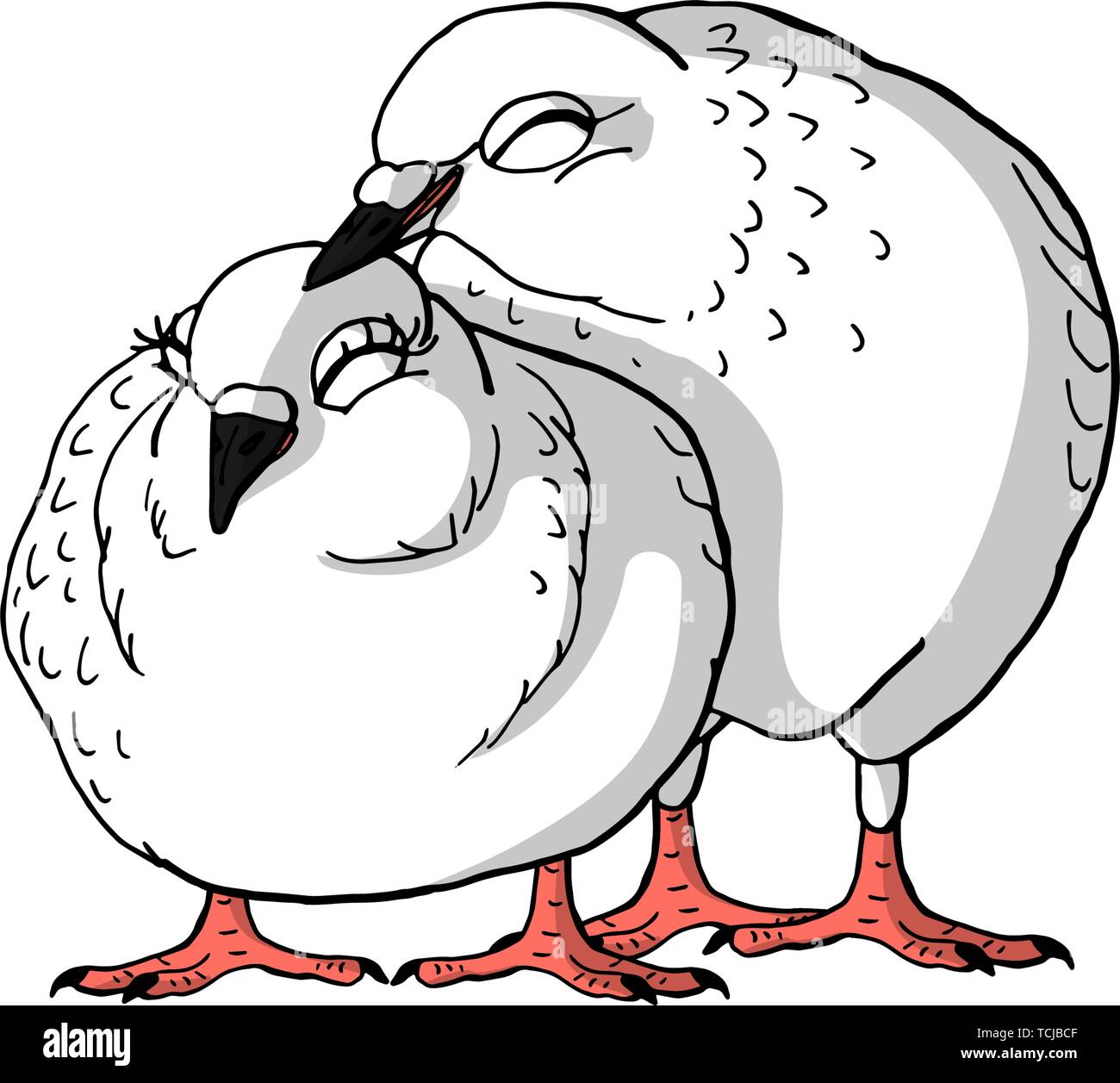 Two Hand Drawn Cute White Pigeons Sweet Loving Couple Of Pigeons