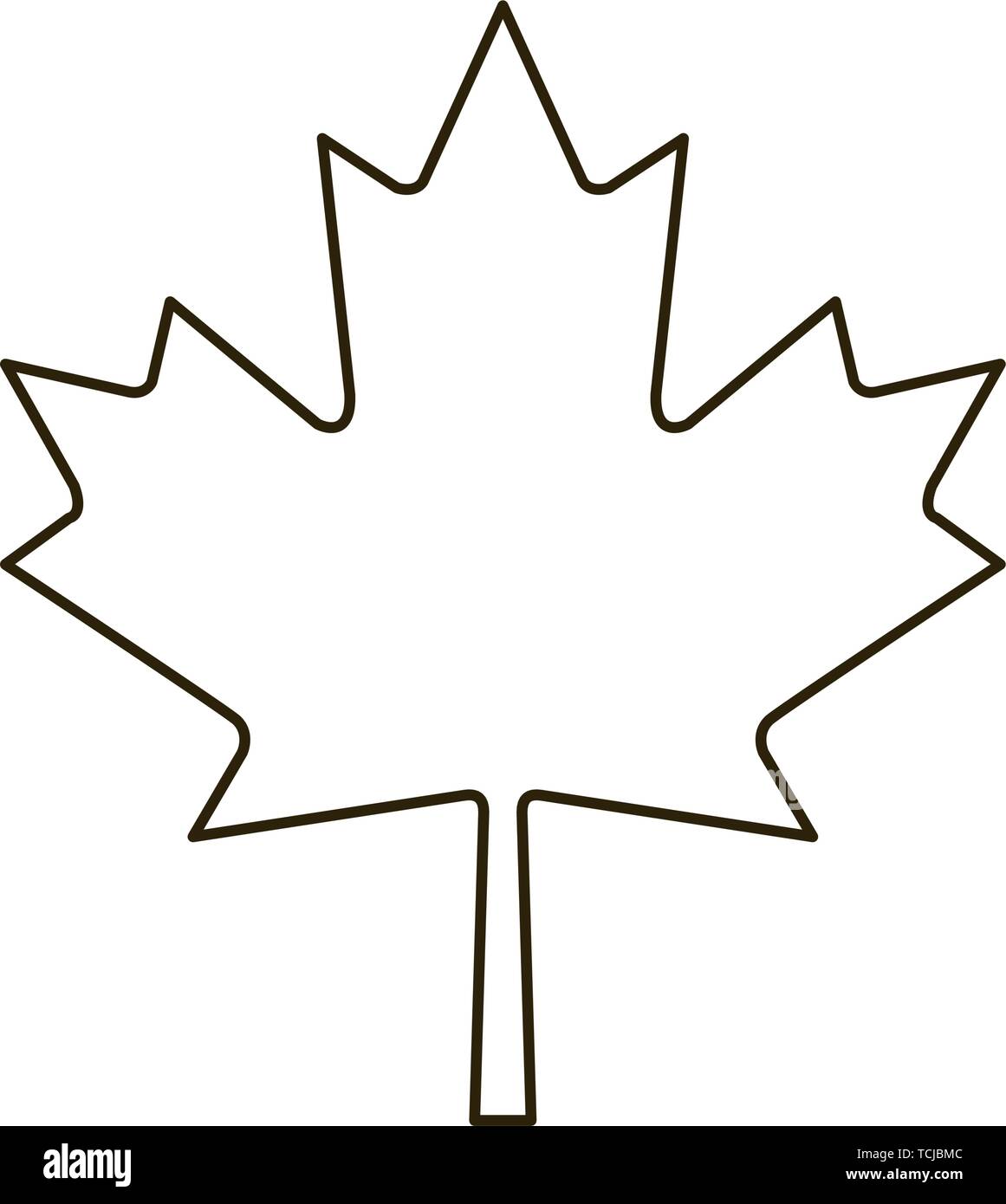Maple leaf of canada design Stock Vector Image & Art Alamy