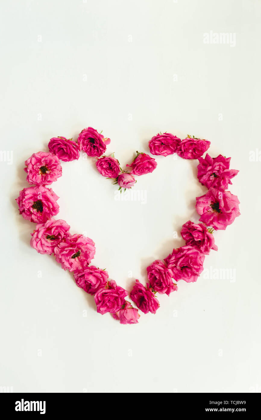 heart of pink roses on white background Stock Photo - Alamy