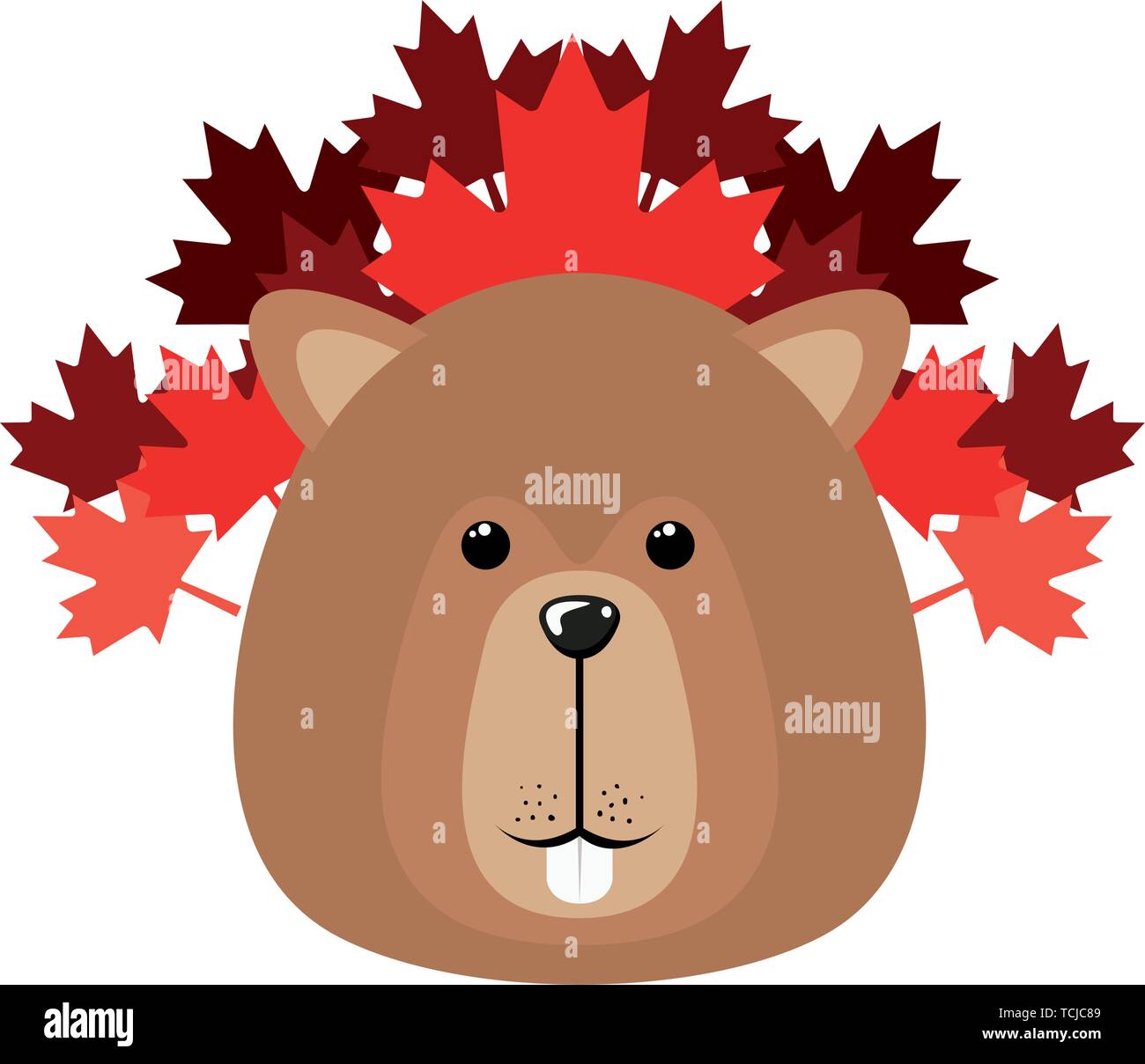 Isolated beaver forest animal design Stock Vector Image & Art - Alamy