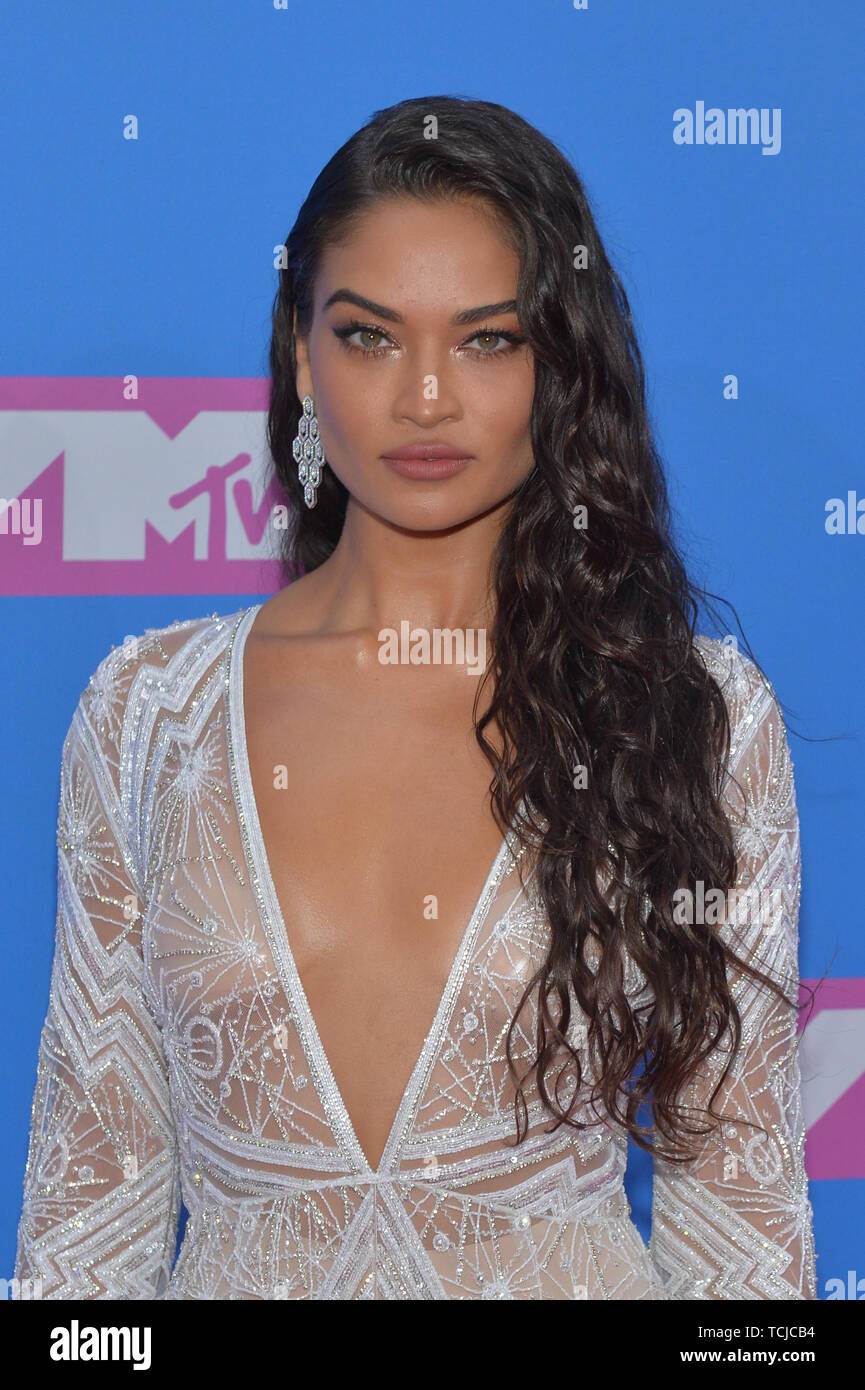 MTV Video Music Awards, Arrivals, New York, USA - 20 Aug 2018 - Shanina Shaik Stock Photo
