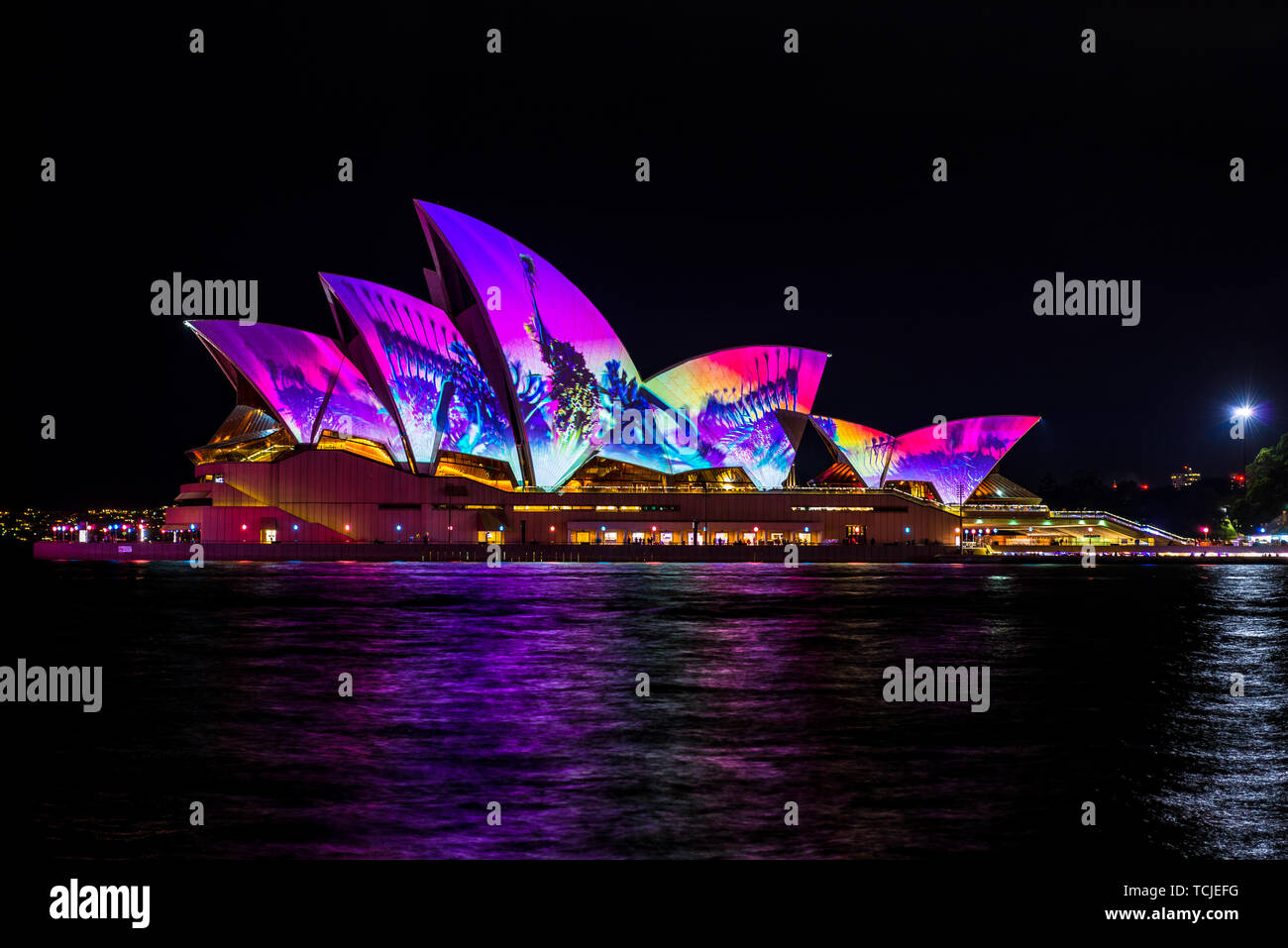 The Sydney Opera House at night during the popular light festival Vivid. Sydney, Australia. Stock Photo