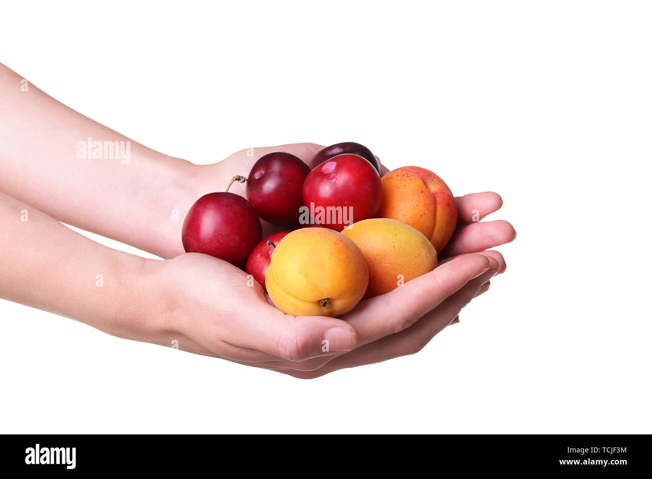 plums and apricots in hand on white isolate Stock Photo Alamy