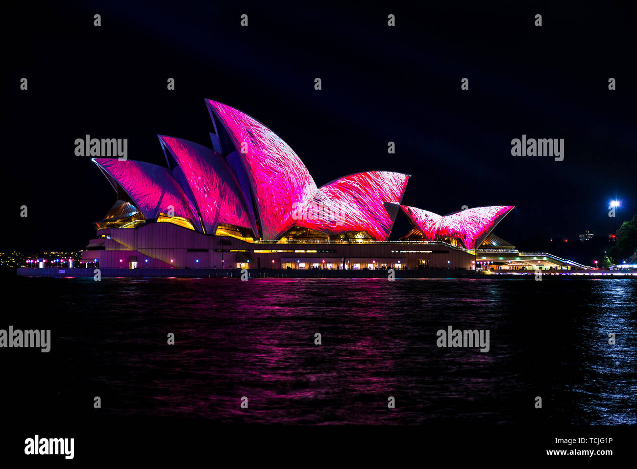 The Sydney Opera House at night during the popular light festival Vivid. Sydney, Australia. Stock Photo