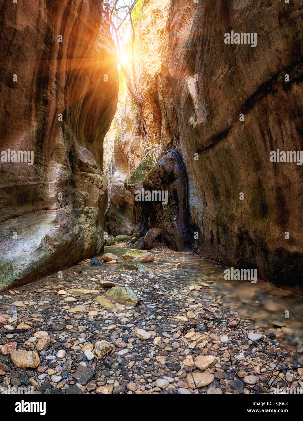 Amazing Avakas gorge, nature landscape, Cyprus. View of the popular ...