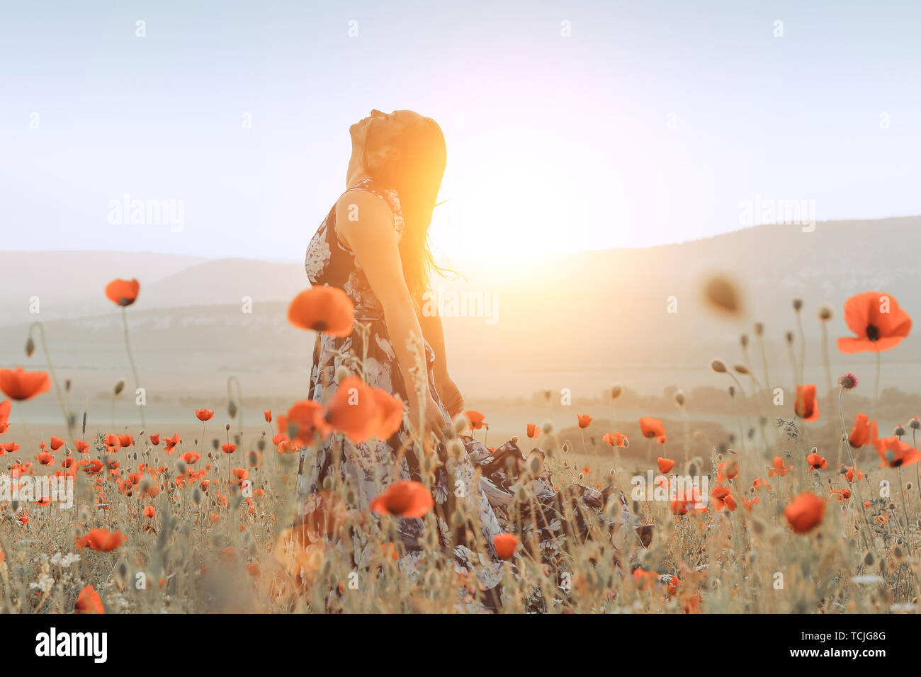 beautiful girl in a poppy field at sunset. concept of freedom Stock ...