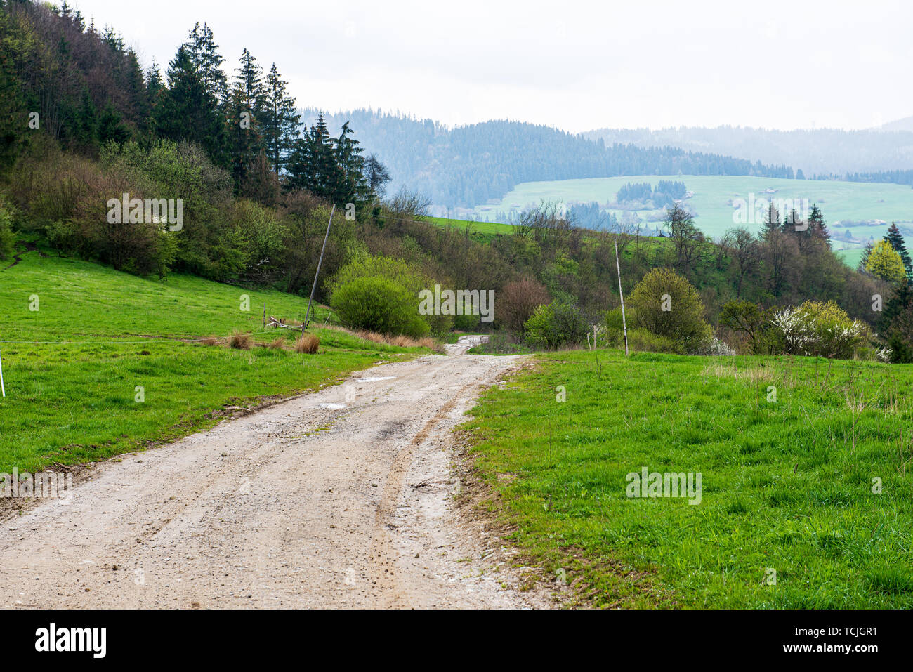 simple countryside dirt road in spring with green foliage and gravel ...