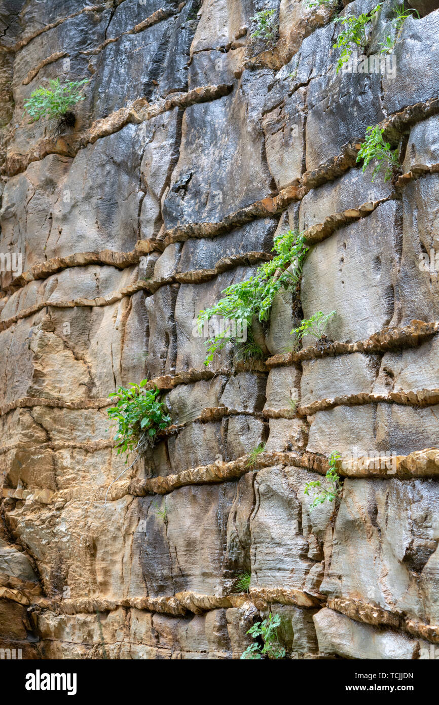 Abstract background with golden color mineral rock texture and green