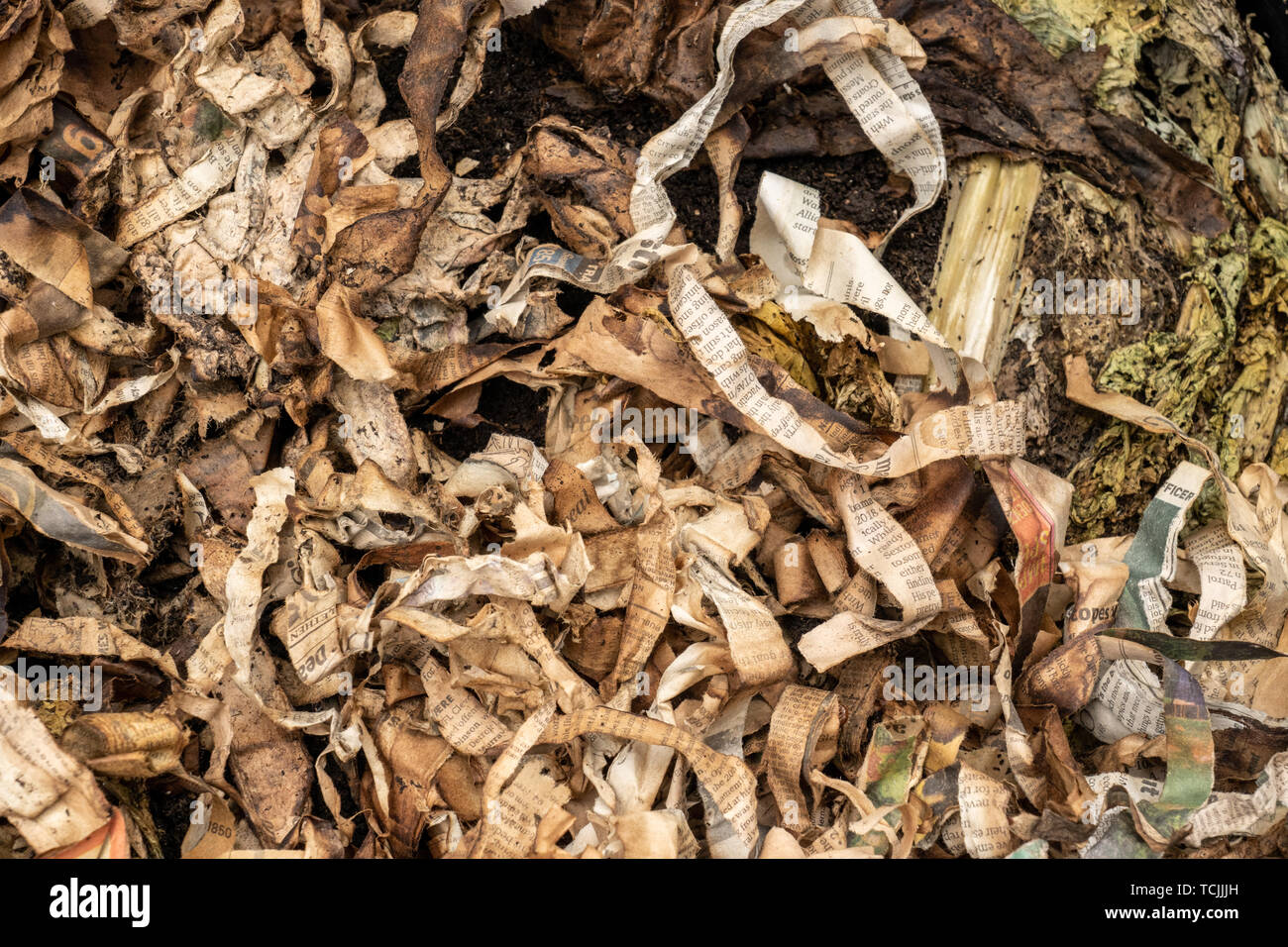 Bellevue, Washington, USA. Newspaper strips in a compost bin Stock Photo Alamy