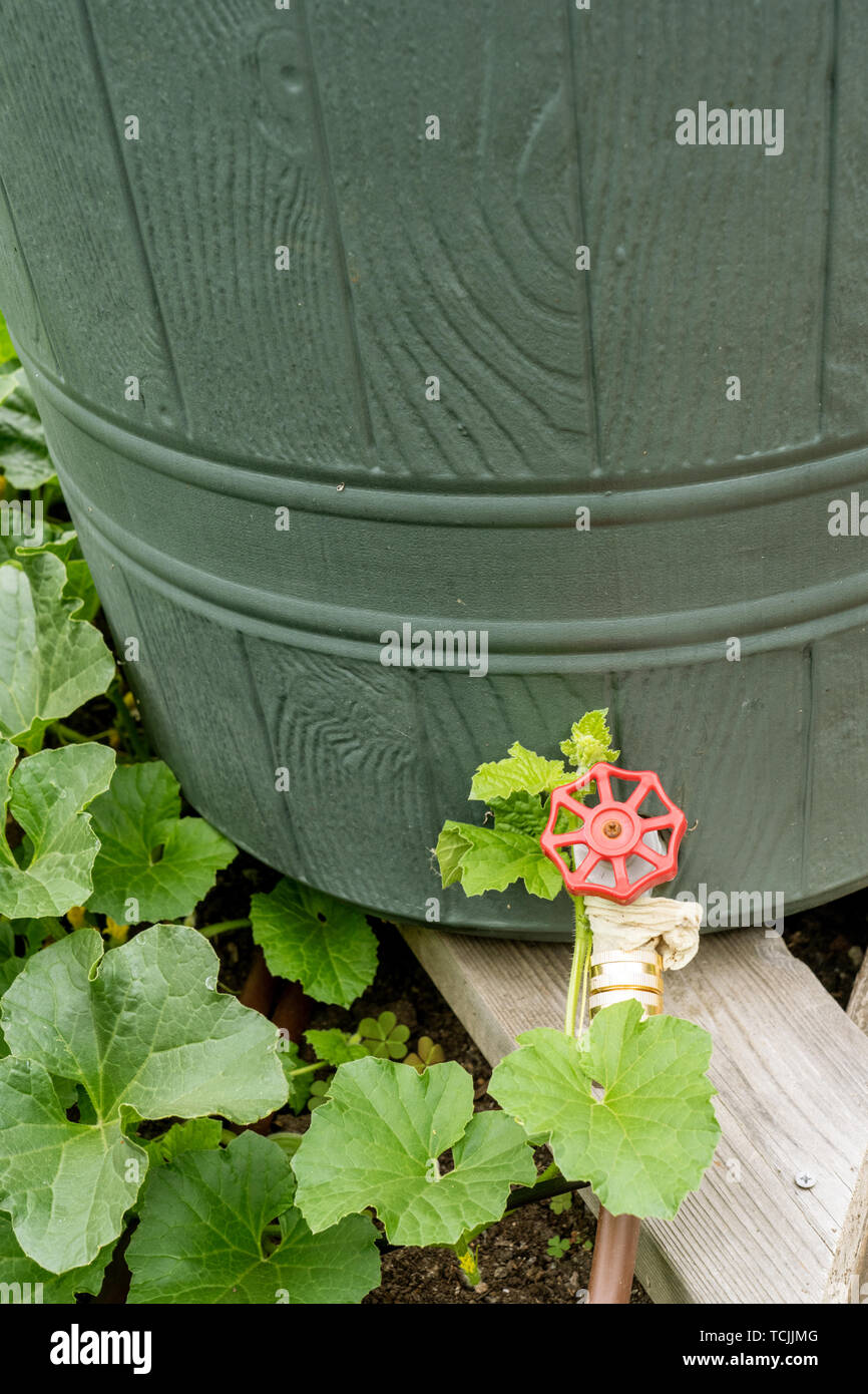 Spigot rain barrel hires stock photography and images Alamy