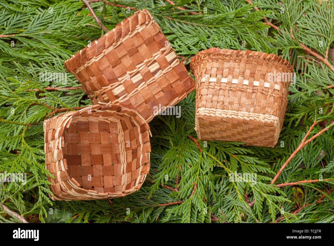 Three handmade Western Red Cedar baskets woven from strips of inner bark, lying on Western Red Cedar branches Stock Photo