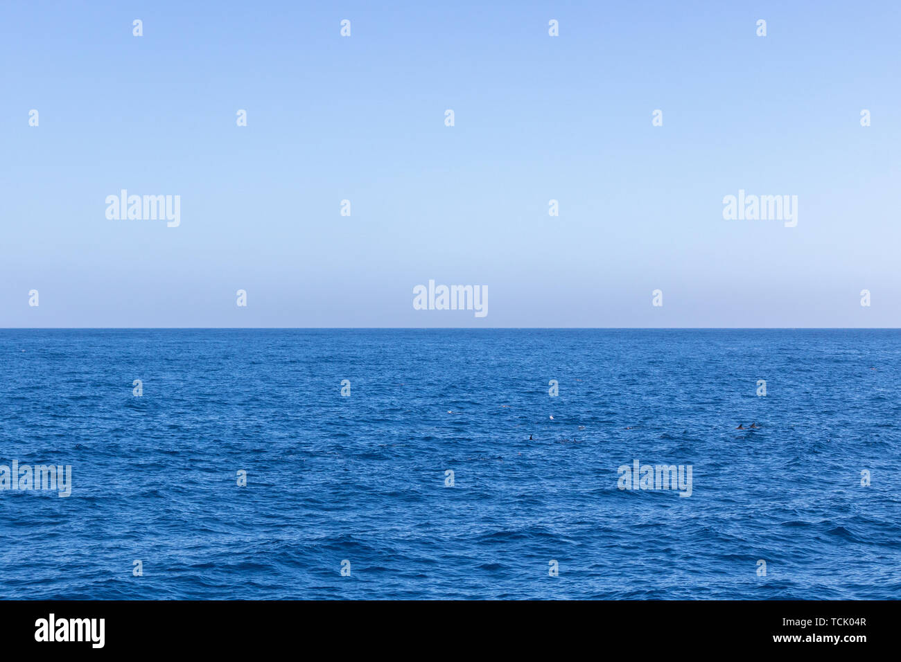 Seascape with sea horizon and almost clear deep blue sky Stock Photo ...
