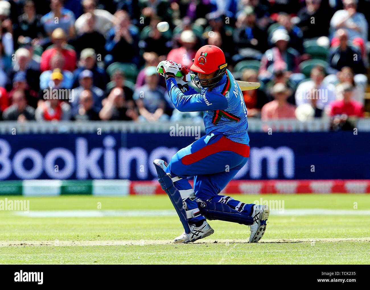 World cup ducks hi-res stock photography and images - Alamy