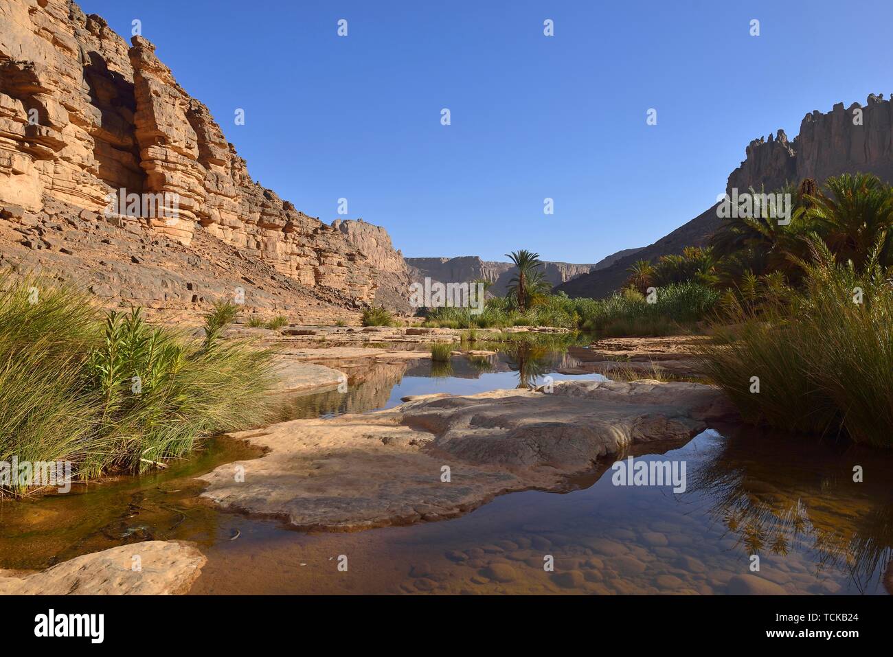 Water in Iherir Canyon, Tassili n'Ajjer National Park, Sahara, Algeria Stock Photo