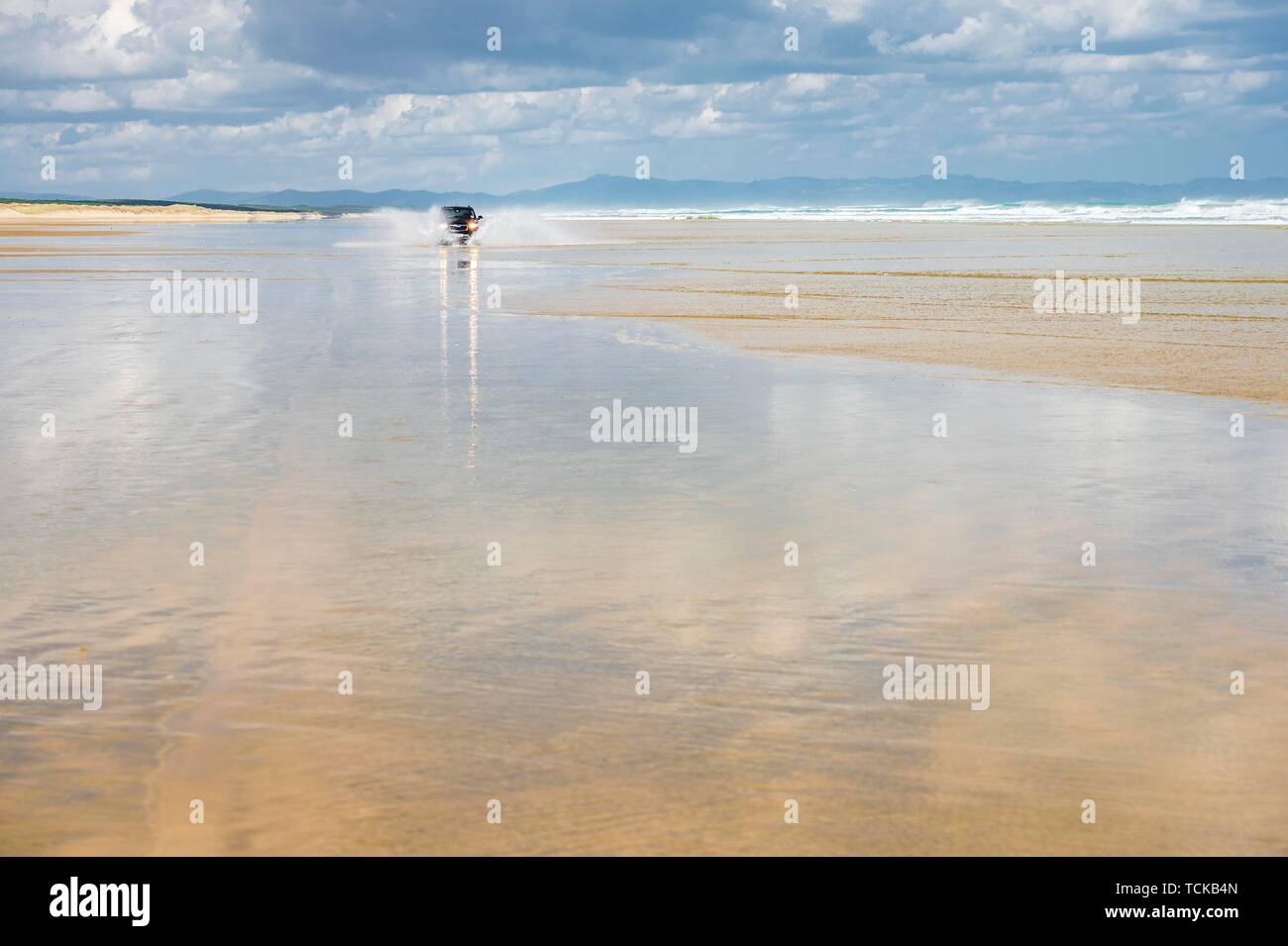 Black Hyundai Santa Fe 4x4 off-road vehicle drives on the sandy beach of Ninety Mile Beach in the water, Far North District, Northland, North Island Stock Photo