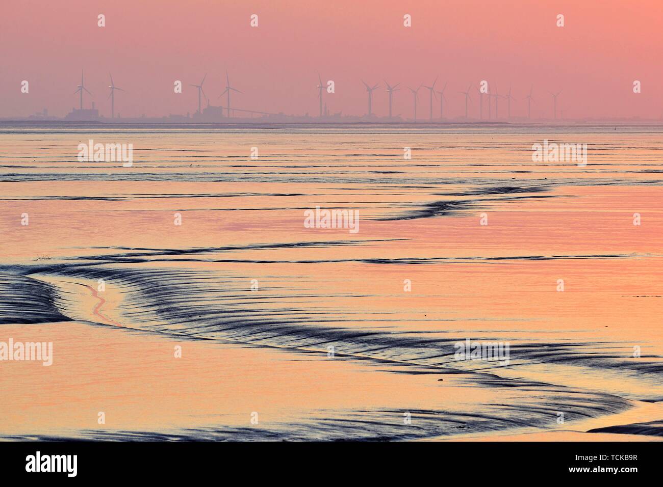Tideways in the Dollart bay at sunset, near Dyksterhusen, Rheiderland, East Frisia, Niedersachsen, Germany Stock Photo