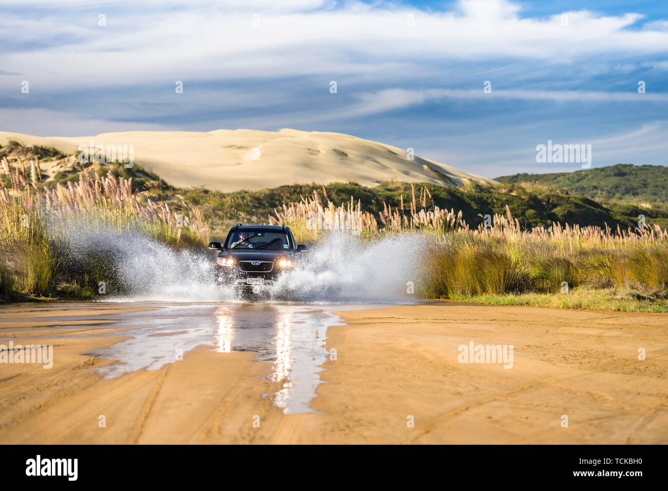 Black Hyundai Santa Fee 4x4 off-road vehicle driving through a streambed on approach to Ninety Mile Beach with sand dune behind, Far North District Stock Photo