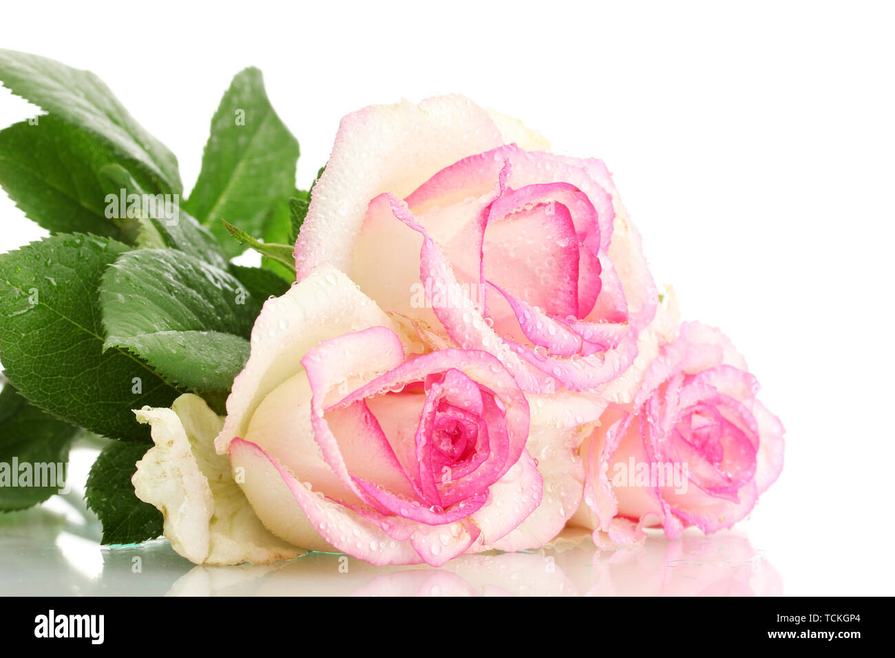 beautiful bouquet of pink roses isolated on white Stock Photo - Alamy