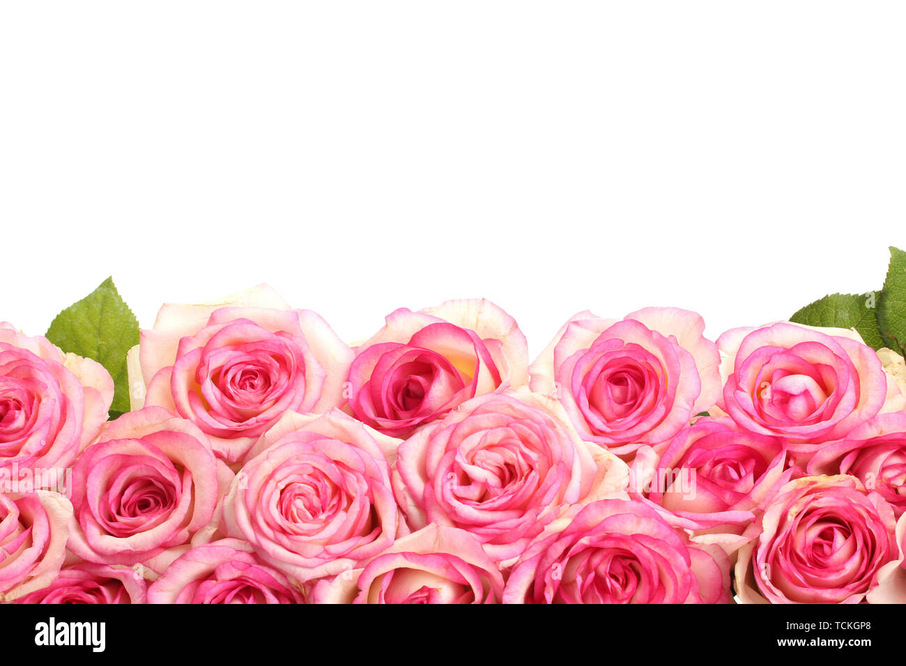beautiful bouquet of pink roses isolated on white Stock Photo - Alamy