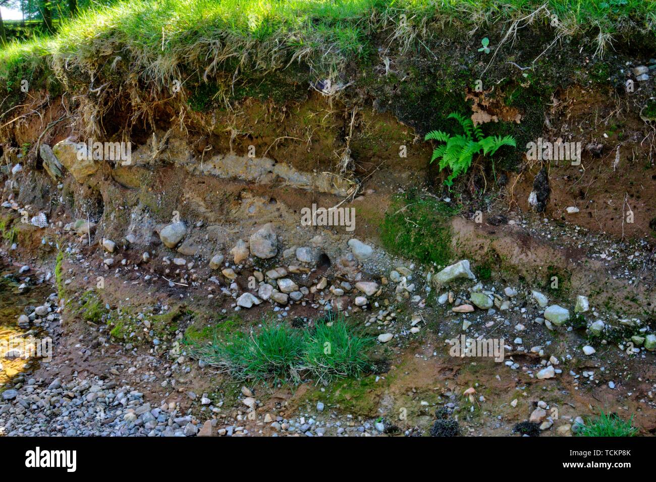 River-cut embankment showing geology of glacial till and boulder clay Stock Photo