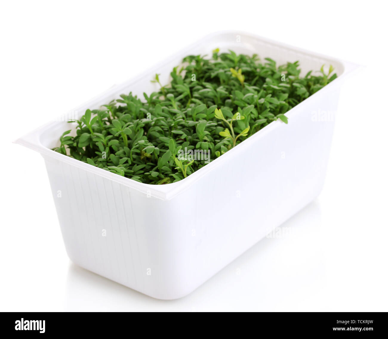 Fresh garden cress in white plastic box isolated on white Stock Photo ...