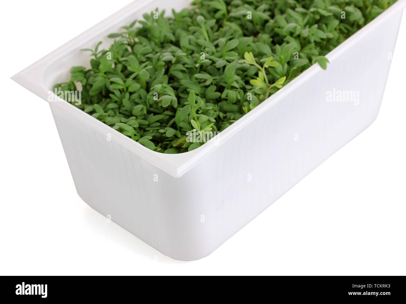 Cress sprouts in plastic box hi-res stock photography and images - Alamy