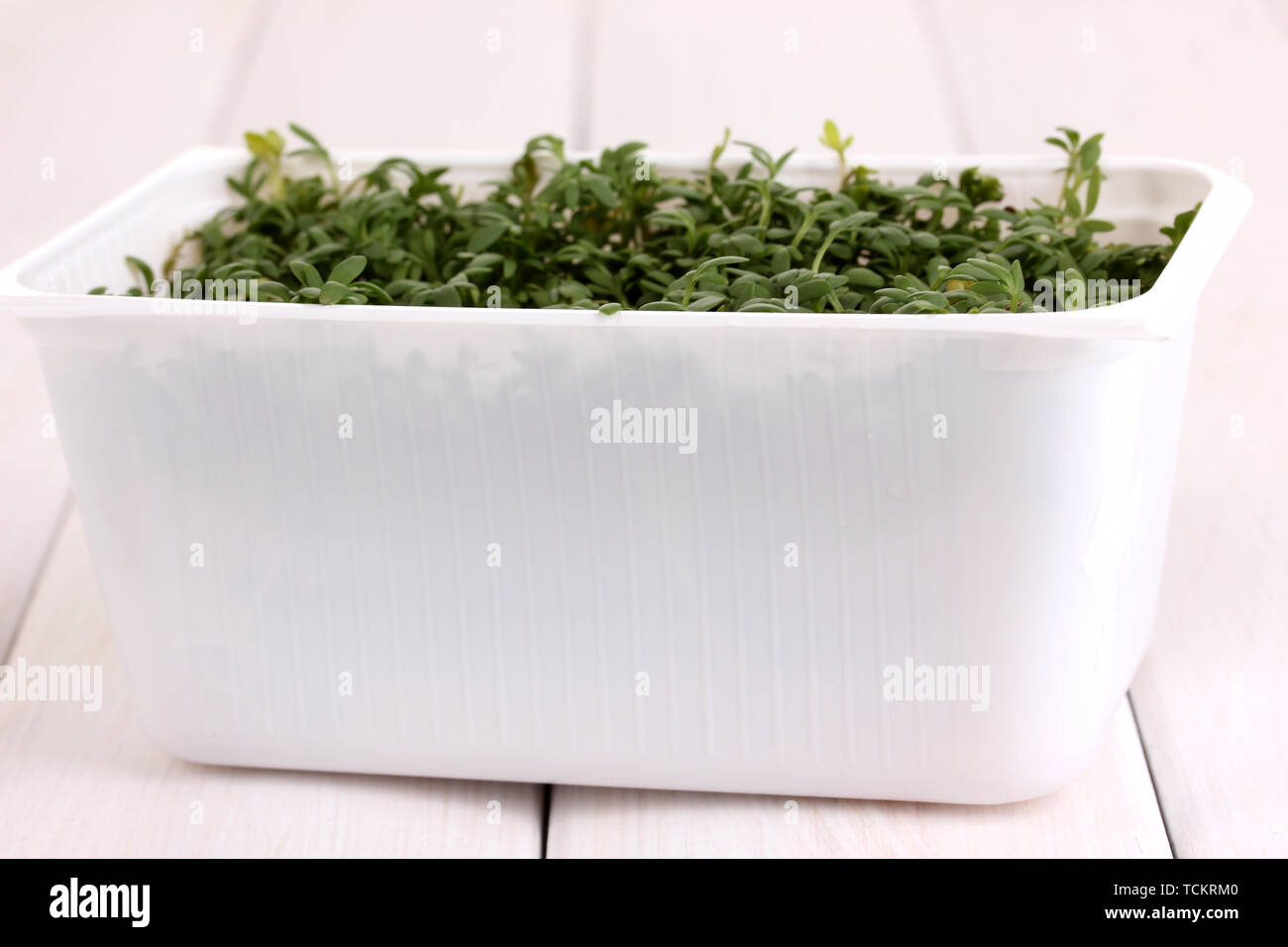 Cress sprouts in plastic box hi-res stock photography and images - Alamy