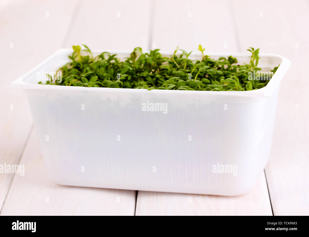 Fresh garden cress in white plastic box on wooden table Stock Photo - Alamy
