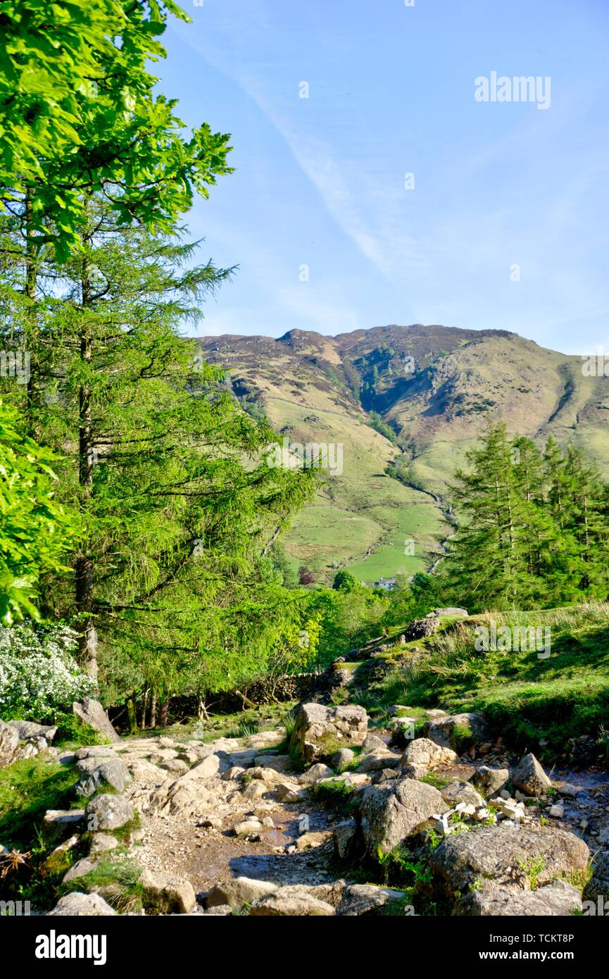 View of Langdale in English Lake District in United Kingdom in evening sunshine with dry stone wall and rocky path in foreground Stock Photo