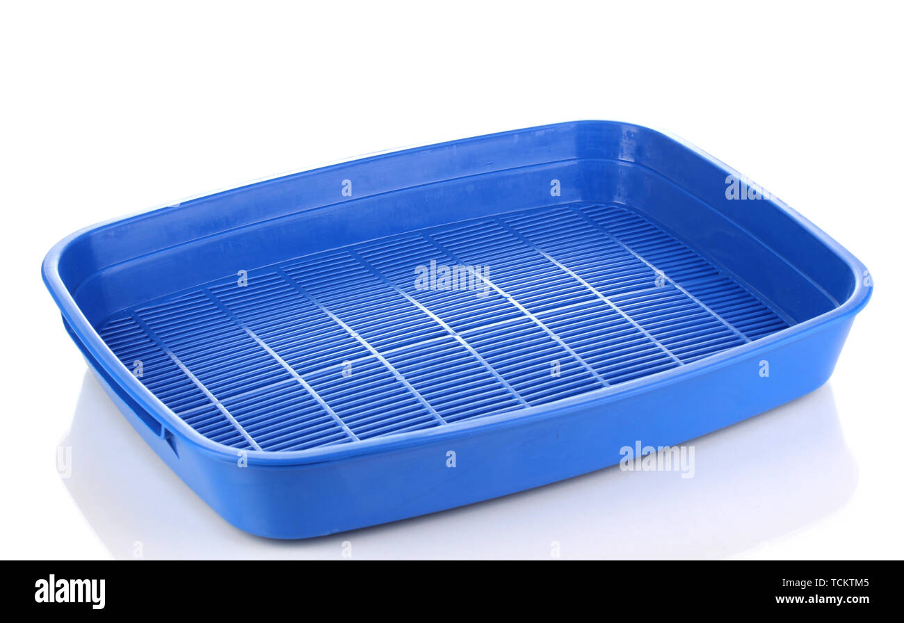 Blue plastic litter cat isolated on white Stock Photo - Alamy