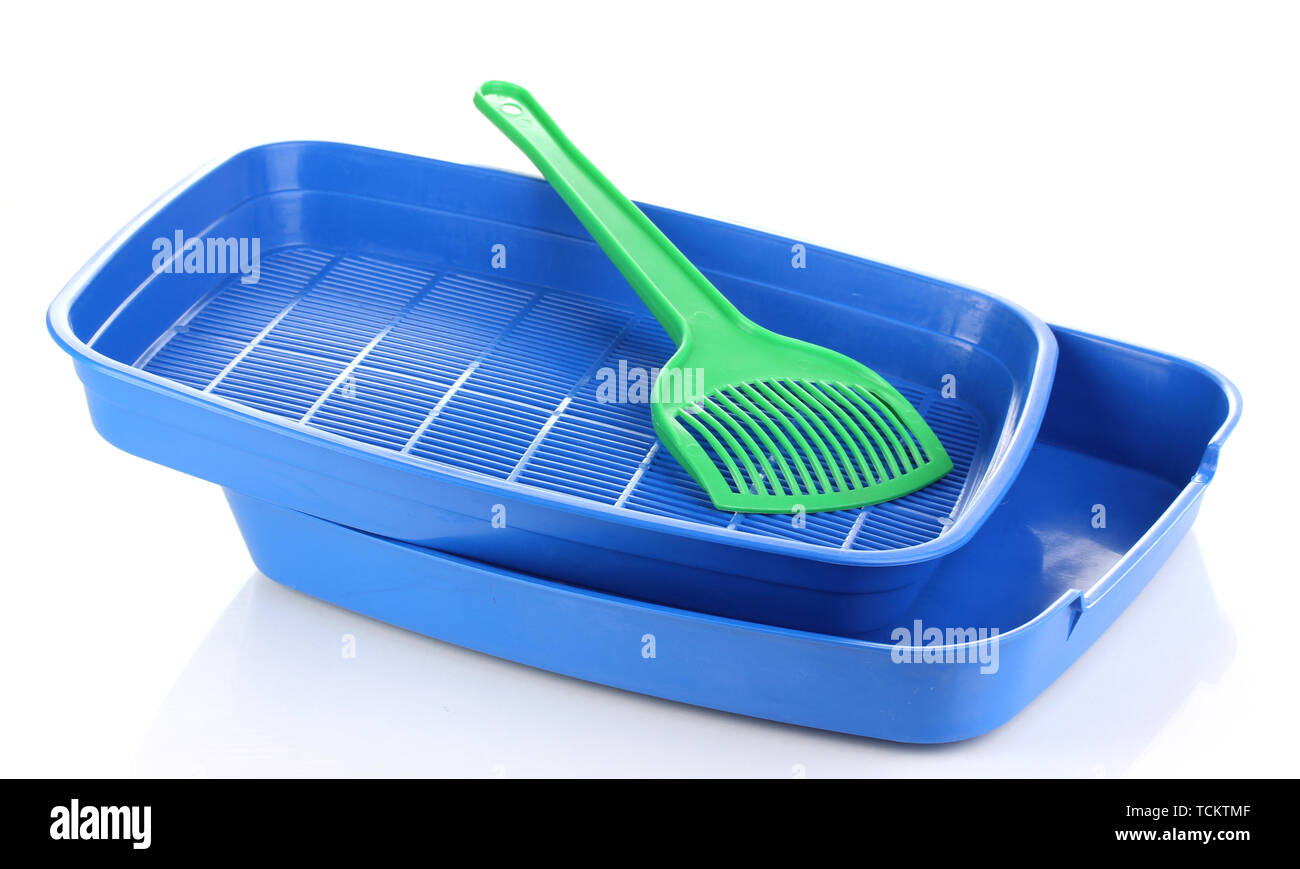 Blue plastic litter cat isolated on white Stock Photo - Alamy