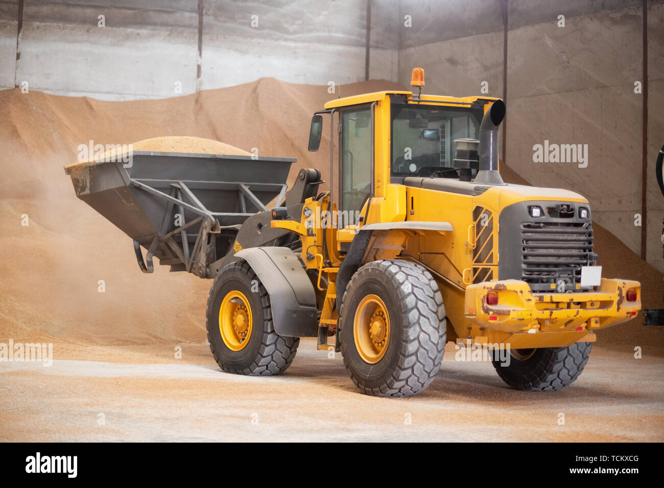 Excavator loader bucket loading grain. Big heap of grain in a warehouse