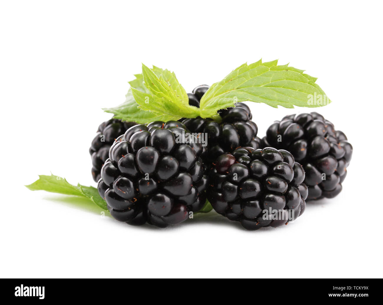beautiful blackberries with leaf isolated on white Stock Photo Alamy