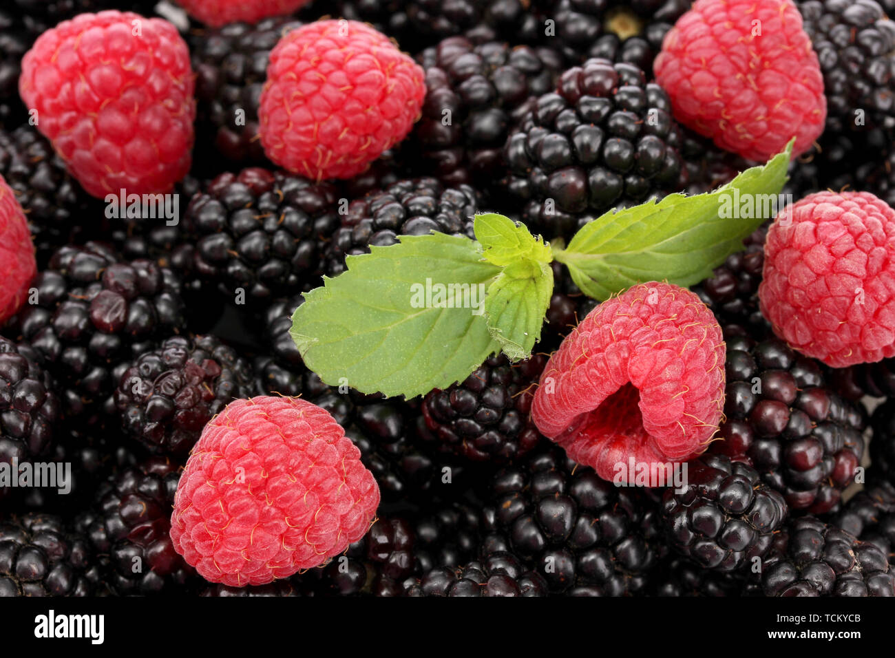 background of beautiful berries with leaves Stock Photo - Alamy