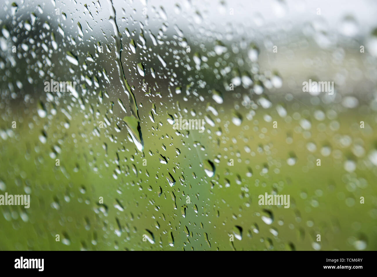 Raindrops on a window Stock Photo