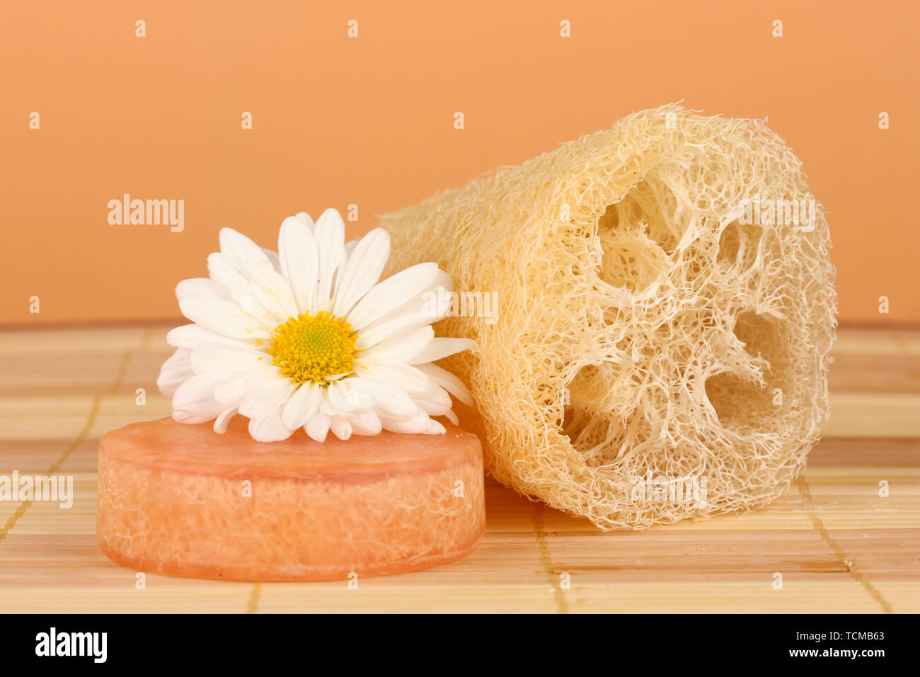 Loofah on color background Stock Photo