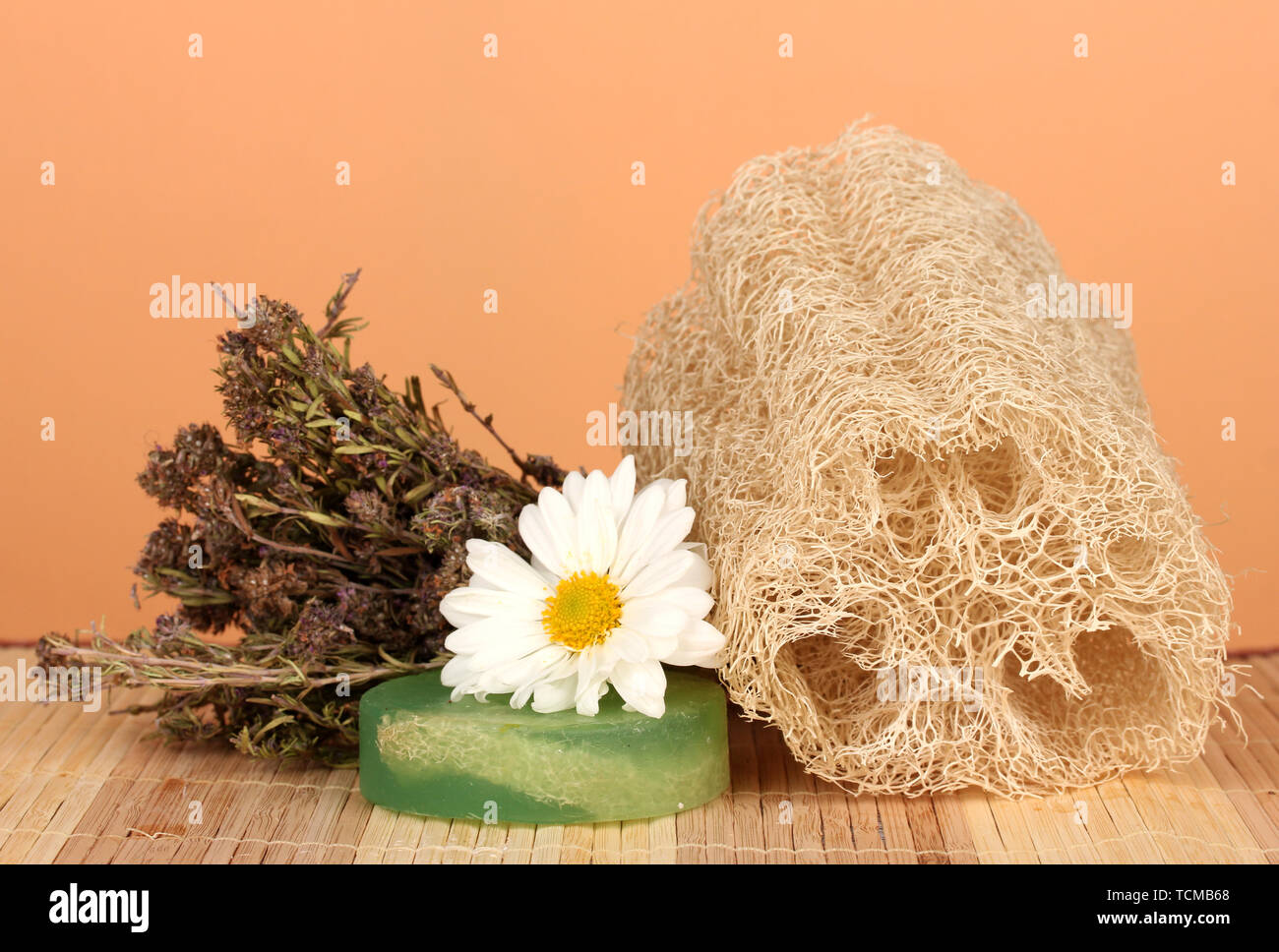 Loofah on color background Stock Photo