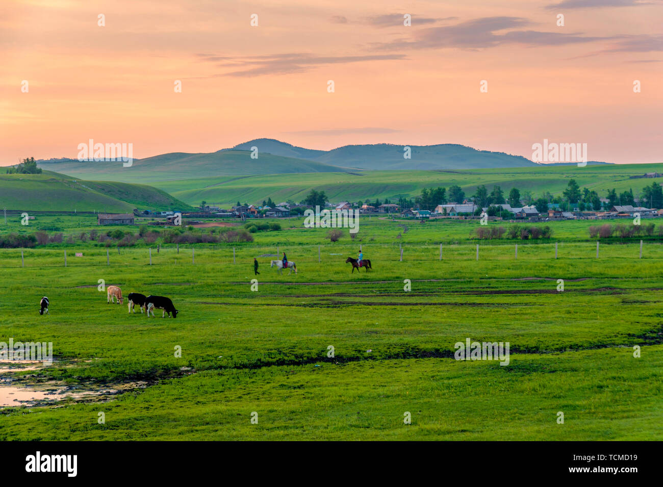 Hulunbuir Erguna Chamber Wei, Inner Mongolia Stock Photo