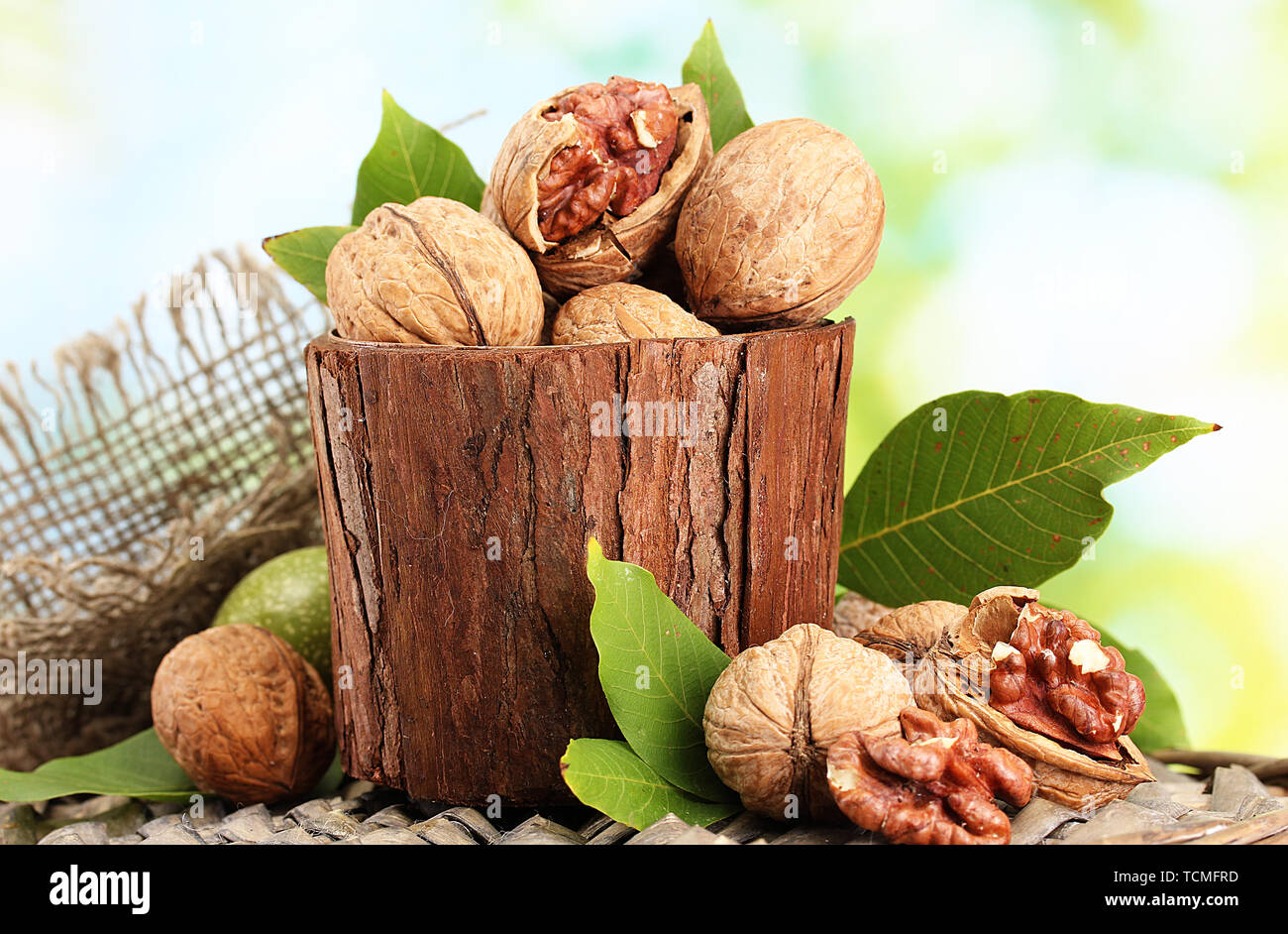 walnuts with green leaves in garden, on green background Stock Photo