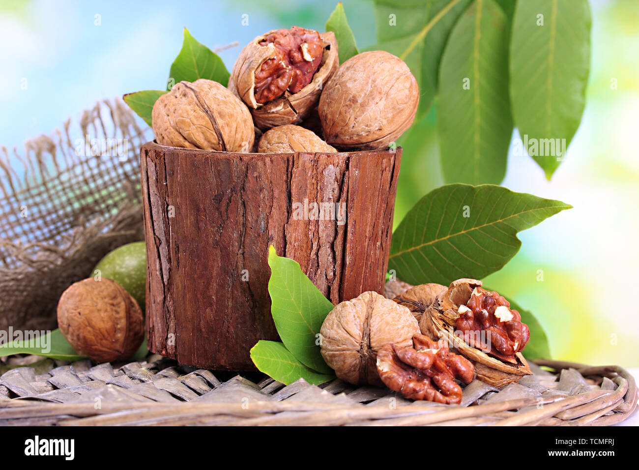 walnuts with green leaves in garden, on green background Stock Photo