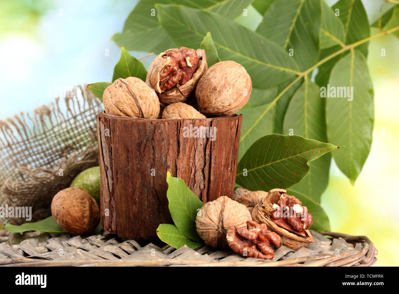 walnuts with green leaves in garden, on green background Stock Photo
