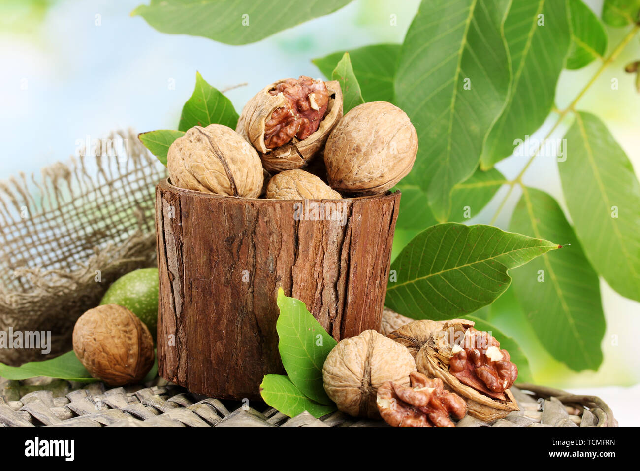 walnuts with green leaves in garden, on green background Stock Photo