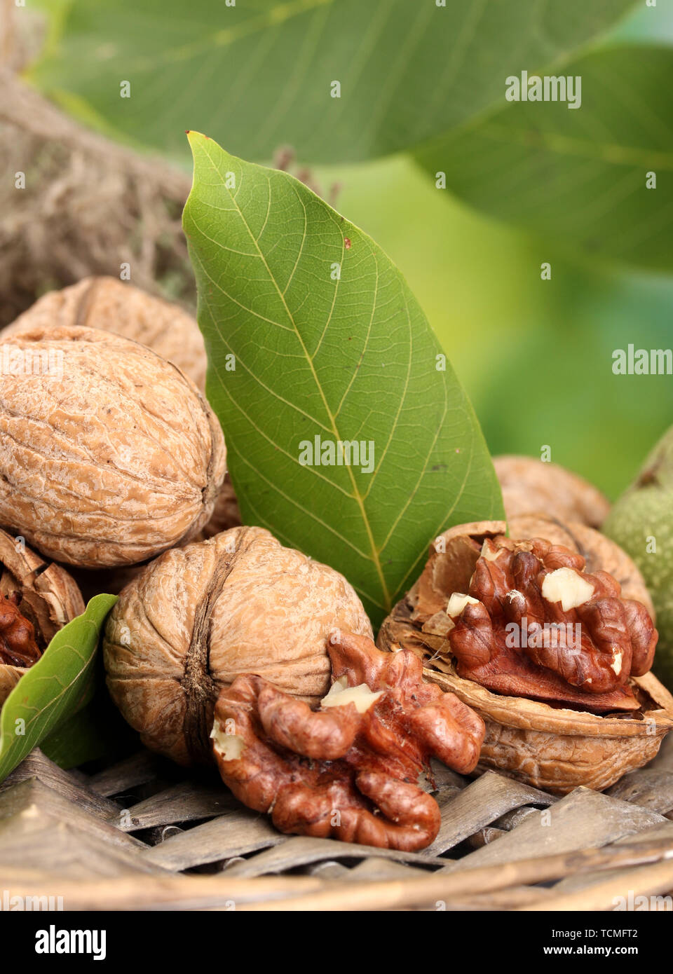walnuts with green leaves in garden, on green background Stock Photo