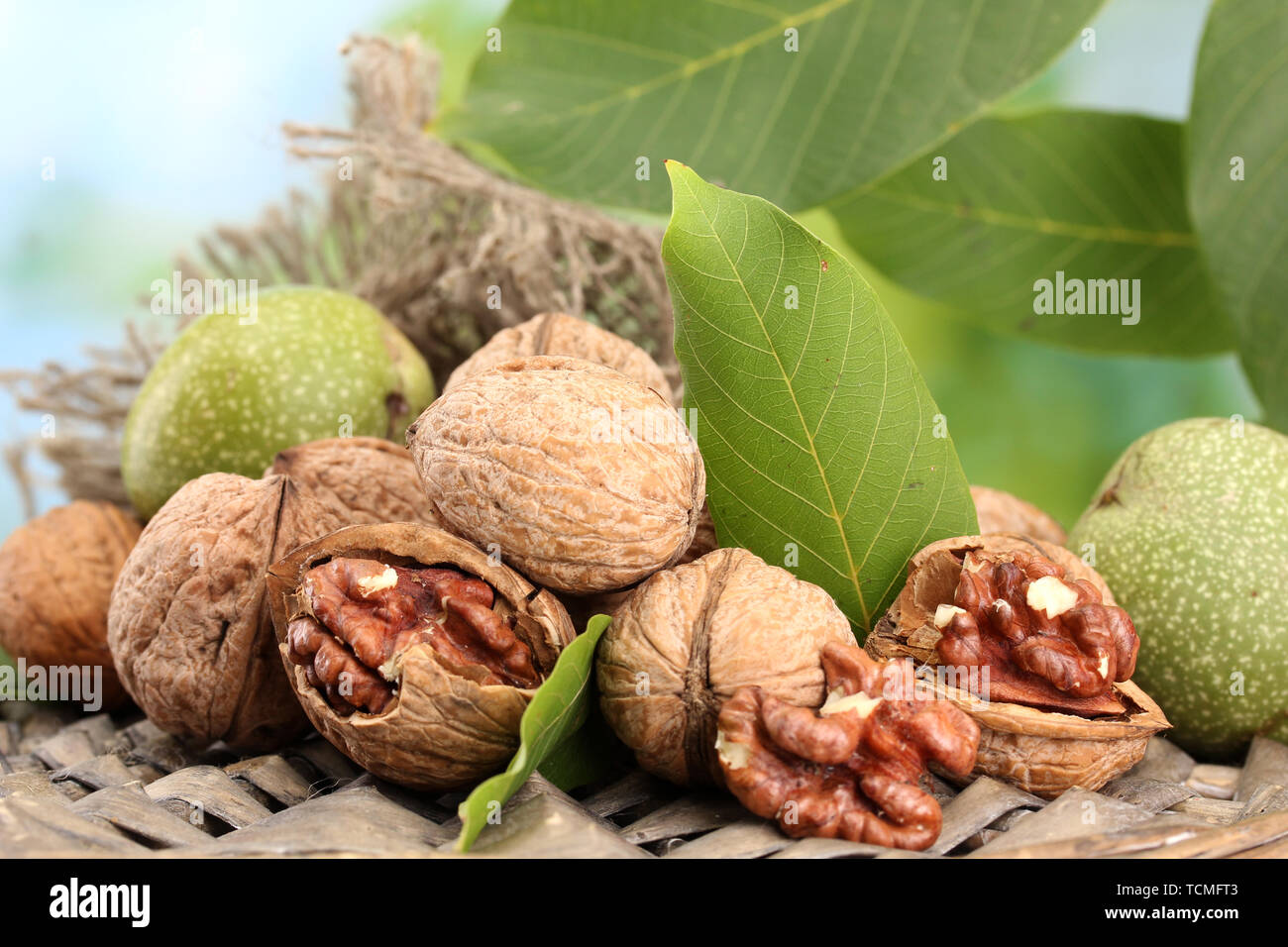 walnuts with green leaves in garden, on green background Stock Photo