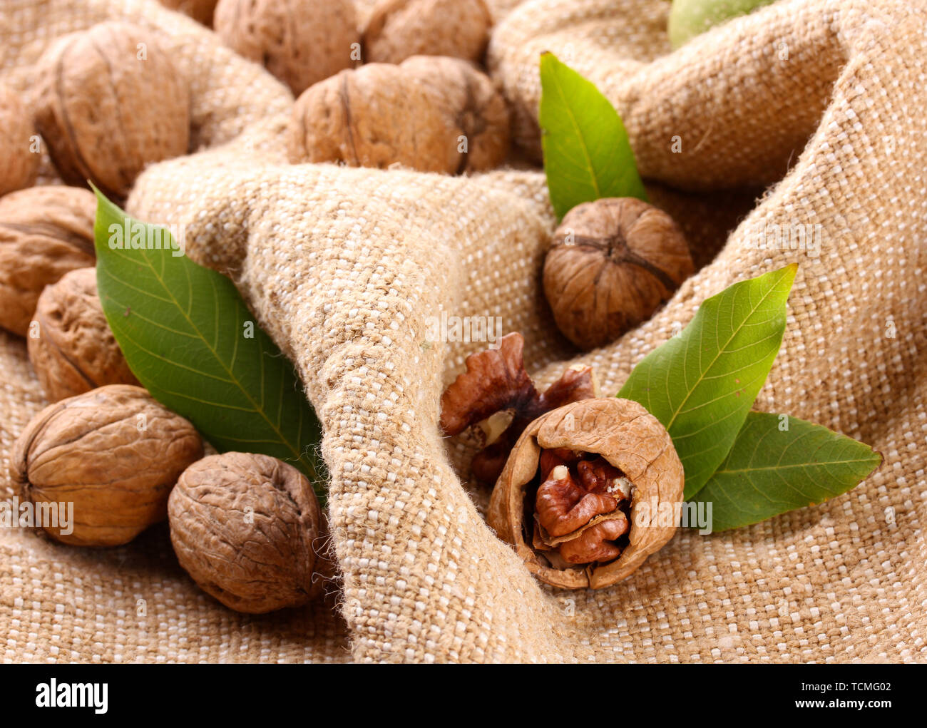walnuts with green leaves, on burlap background Stock Photo